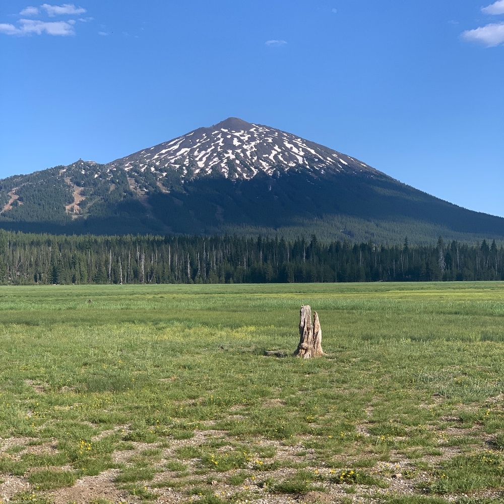 Meet your Posher, Annette